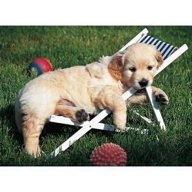 Puzzle Ravensburger Cachorro Golden Retriever de 500 piezas Puzzle Ravensburger Cachorro Golden Retriever de 500 piezas Ravensburger - 1