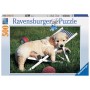 Puzzle Ravensburger Cachorro Golden Retriever de 500 piezas - Ravensburger