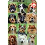 Puzzle Educa Collage de perros de 500 piezas - Puzzles Educa