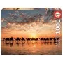 Puzzle Educa Atardecer Dorado En Cable Beach, Australia 1000 Piezas - Puzzles Educa