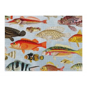 Puzzle cloudberries Aquatic de 1000 Piezas Puzzle cloudberries Aquatic de 1000 Piezas Cloudberries - 1