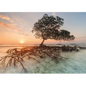 Puzzle Heye Manglar rojo de 1000 Piezas Puzzle Heye Manglar rojo de 1000 Piezas Heye - 1