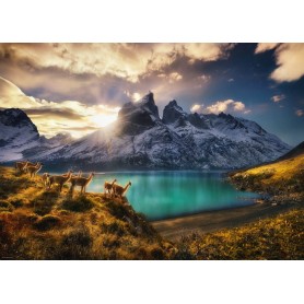 Puzzle Heye Guanacos de 1000 Piezas Puzzle Heye Guanacos de 1000 Piezas Heye - 2