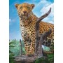 Puzzle Trefl Leopardo Salvaje de 500 Piezas - Puzzles Trefl