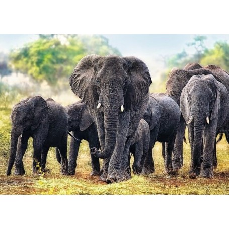 Puzzle Trefl Elefantes africanos de 1000 Piezas - Puzzles Trefl