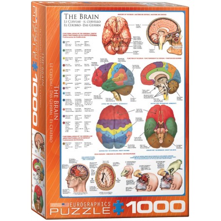 Puzzle Eurographics El cerebro de 1000 Piezas - Eurographics