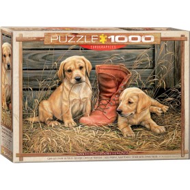 Puzzle Eurographics Algo viejo algo nuevo de 1000 Piezas Puzzle Eurographics Algo viejo algo nuevo de 1000 Piezas Eurographics - 1
