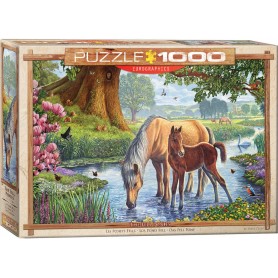 Puzzle Eurographics Los potros se redujo en Steve Crujiente de 1000 Piezas Puzzle Eurographics Los potros se redujo en Steve Crujiente de 1000 Piezas Eurographics - 1