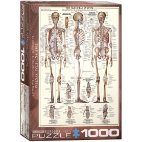 Puzzle Eurographics El sistema Óseo de 1000 Piezas Puzzle Eurographics El sistema Óseo de 1000 Piezas Eurographics - 1