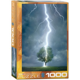 Puzzle Eurographics Rayo Golpeando un Árbol de 1000 Piezas Puzzle Eurographics Rayo Golpeando un Árbol de 1000 Piezas Eurographics - 1