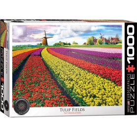 Puzzle Eurographics Campo de Tulipanes, Holanda de 1000 Piezas Puzzle Eurographics Campo de Tulipanes, Holanda de 1000 Piezas Eurographics - 1