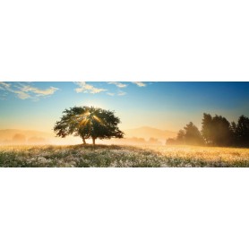 Puzzle Heye Juego de Luz de 1000 Piezas Puzzle Heye Juego de Luz de 1000 Piezas Heye - 1