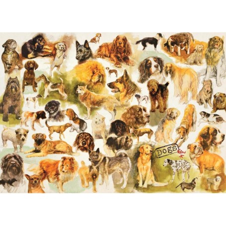 Puzzle Jumbo Poster de perros de 1000 Piezas - Jumbo