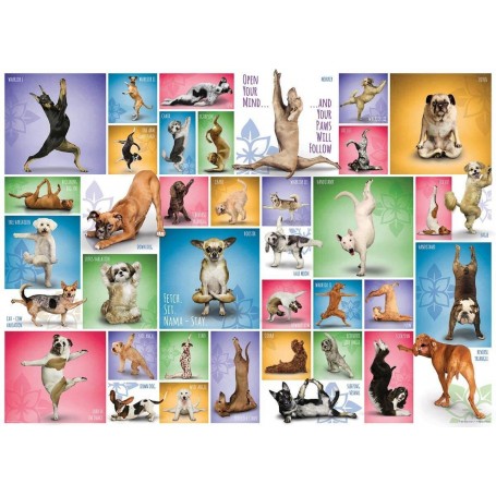 Puzzle Eurographics yoga Dogs de 1000 Piezas - Eurographics