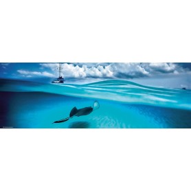 Puzzle Heye Stingray Panoramico de 1000 Piezas Puzzle Heye Stingray Panoramico de 1000 Piezas Heye - 1