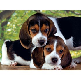 Puzzle Clementoni Juntos De 500 Piezas Puzzle Clementoni Juntos De 500 Piezas Clementoni - 1