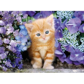 Puzzle Clementoni Gatito Rubio De 500 Piezas Puzzle Clementoni Gatito Rubio De 500 Piezas Clementoni - 1