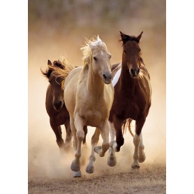 Puzzle Clementoni Caballos Corriendo de 1000 Piezas Puzzle Clementoni Caballos Corriendo de 1000 Piezas Clementoni - 1