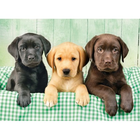 Puzzle Clementoni Los Tres Labradores De 1000 Piezas - Clementoni