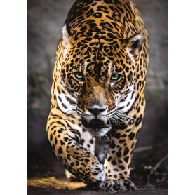 Puzzle Clementoni El Paso del Jaguar de 1000 Piezas Puzzle Clementoni El Paso del Jaguar de 1000 Piezas Clementoni - 1