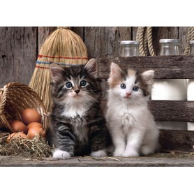 Puzzle Clementoni Gatitos de 1000 Piezas Puzzle Clementoni Gatitos de 1000 Piezas Clementoni - 2