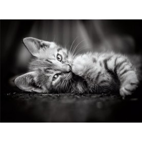 Puzzle Clementoni Gatito de 1000 Piezas Puzzle Clementoni Gatito de 1000 Piezas Clementoni - 1