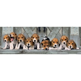 Puzzle Clementoni Panoramico Beagles De 1000 Piezas Puzzle Clementoni Panoramico Beagles De 1000 Piezas Clementoni - 1