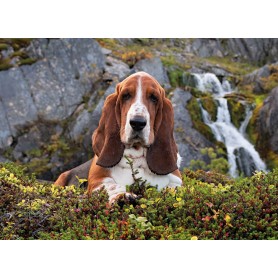Puzzle Clementoni Cahrlie Brown De 1000 Piezas Puzzle Clementoni Cahrlie Brown De 1000 Piezas Clementoni - 1