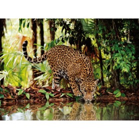 Puzzle Clementoni Leopardo de 2000 Piezas Clementoni - 1