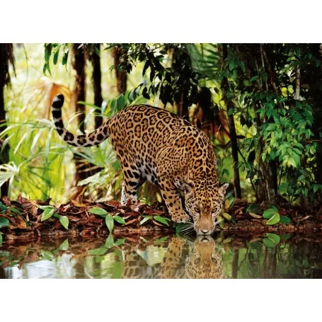 Puzzle Clementoni Leopardo de 2000 Piezas - Clementoni