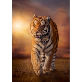 Puzzle Clementoni Tigre al Atardecer de 1500 Piezas Puzzle Clementoni Tigre al Atardecer de 1500 Piezas Clementoni - 1
