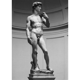 Puzzle Ricordi El David de 1000 Piezas Puzzle Ricordi El David de 1000 Piezas Editions Ricordi - 1