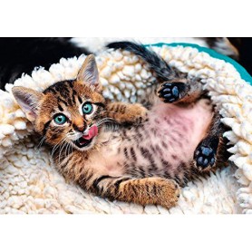 Puzzle Trefl Gatito Alegre de 1000 Piezas Puzzle Trefl Gatito Alegre de 1000 Piezas Puzzles Trefl - 1