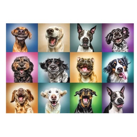 Puzzle Trefl Retratos Divertidos de Perros de 1000 Piezas Puzzles Trefl - 1