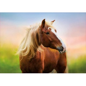 Puzzle Educa Caballo al Amanecer de 500 Piezas Puzzle Educa Caballo al Amanecer de 500 Piezas Puzzles Educa - 1