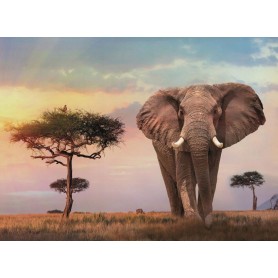 Puzzle Clementoni Atardecer Africano de 500 Piezas Puzzle Clementoni Atardecer Africano de 500 Piezas Clementoni - 1