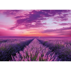Puzzle Clementoni Campo de Lavanda de 1000 Piezas Puzzle Clementoni Campo de Lavanda de 1000 Piezas Clementoni - 1