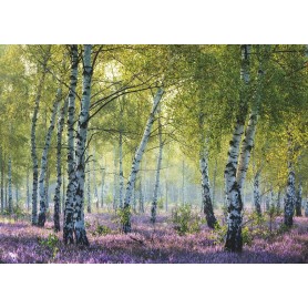 Puzzle Ravensburger Bosque de Abedules de 1000 Piezas Puzzle Ravensburger Bosque de Abedules de 1000 Piezas Ravensburger - 1