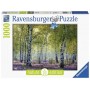 Puzzle Ravensburger Bosque de Abedules de 1000 Piezas Ravensburger - 2
