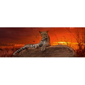 Puzzle Heye Rojo Atardecer de 2000 Piezas Puzzle Heye Rojo Atardecer de 2000 Piezas Heye - 1