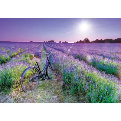 Puzzle Educa Bicicleta en Campo de Lavanda de 1000 Piezas Puzzles Educa - 1