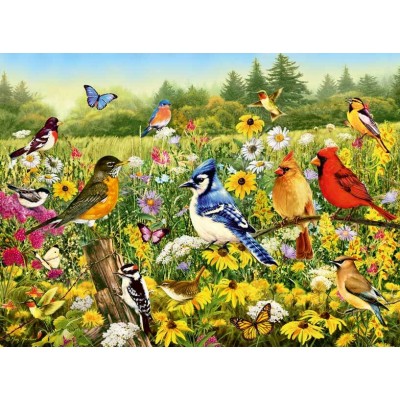 Puzzle Ravensburger Pájaros en el Prado de 500 Piezas Ravensburger - 1