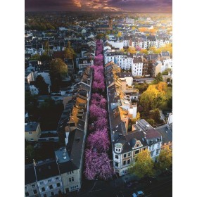 Puzzle Ravensburger Ciudad de Bonn Florecida de 1500 Piezas Puzzle Ravensburger Ciudad de Bonn Florecida de 1500 Piezas Ravensburger - 1