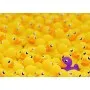 Puzzle Ravensburger Patos de Goma de 1000 Piezas Ravensburger - 2