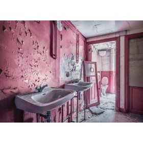 Puzzle Ravensburger Baño Rosa en Ruinas de 1000 Piezas Puzzle Ravensburger Baño Rosa en Ruinas de 1000 Piezas Ravensburger - 1