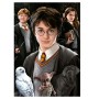 Puzzle Educa Harry Potter (Piezas Miniatura) de 1000 Piezas Puzzles Educa - 1
