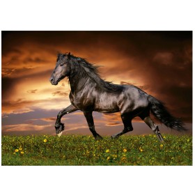 Puzzle Educa Caballo al Trote de 1000 Piezas Puzzle Educa Caballo al Trote de 1000 Piezas Puzzles Educa - 1