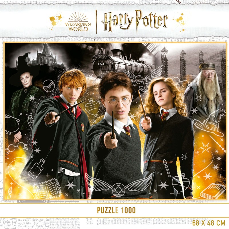 Puzzle Educa Harry Potter Effetto Neon 1000 pezzi 