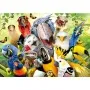 Puzzle Educa Mira al Pajarito de 500 Piezas Puzzles Educa - 1