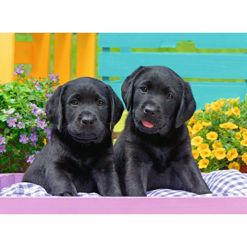 Comprar Puzzle Trefl Perros En El Jardín De 1000 Piezas - TREFL-10556
